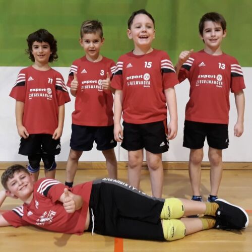 U9M - Turnier in Langenlois am 13.Jänner 2019